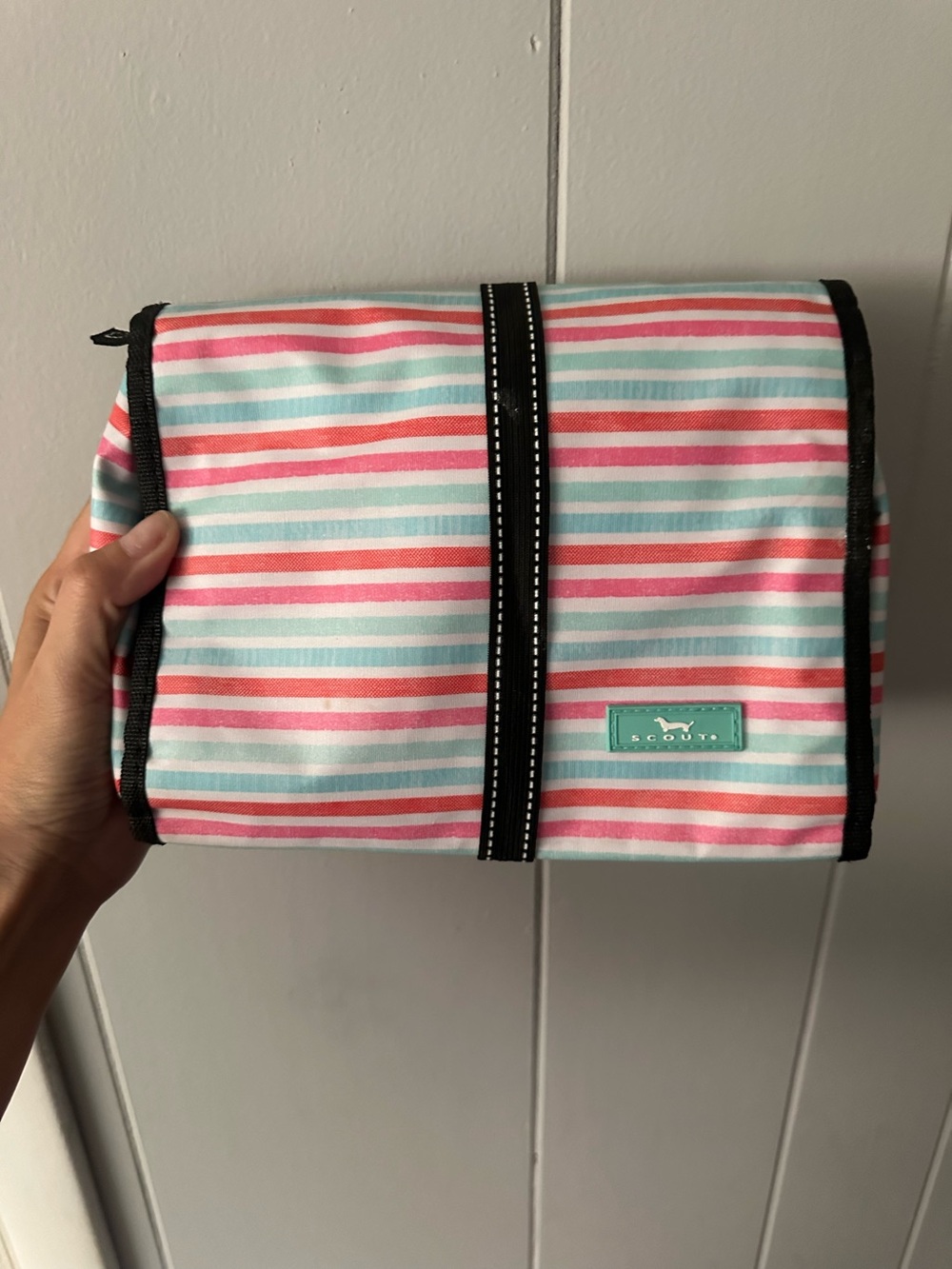 Scout Striped Toiletry Kit in Pink and Mint with Black Trim